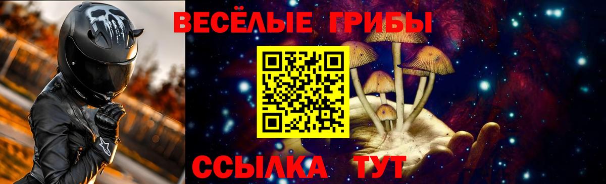 Псилоцибиновые грибы MAGIC MUSHROOMS  Галлюциногенные грибы GOLDEN TEACHER  магазин    Фурманов  Вход с VPN 